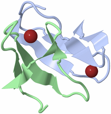 Image NMR Structure - model 1