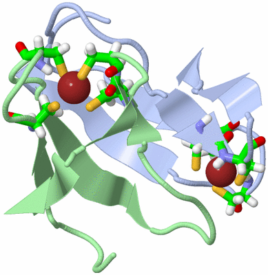 Image NMR Structure - model 1, sites