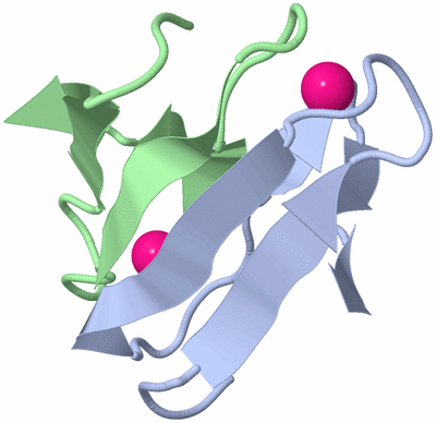 Image NMR Structure - model 1