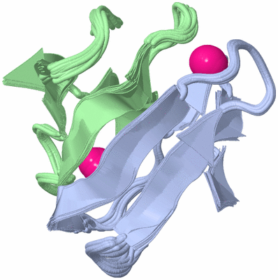 Image NMR Structure - all models