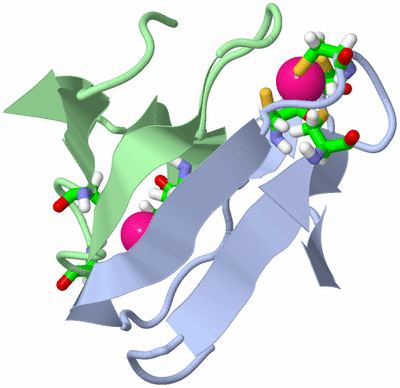 Image NMR Structure - model 1, sites