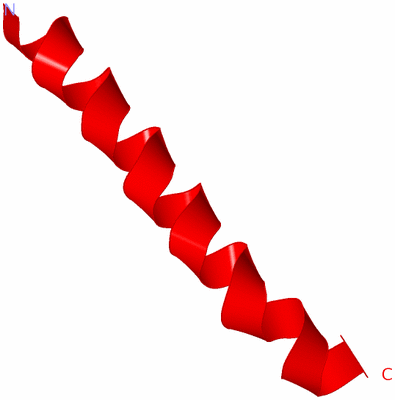 Image NMR Structure - model 1