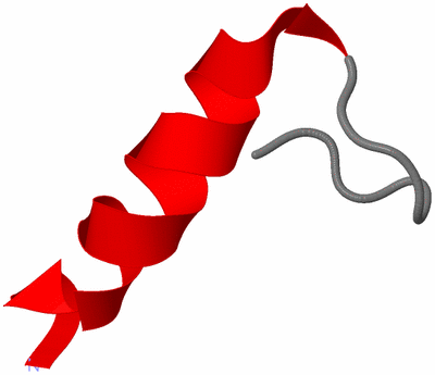 Image NMR Structure - model 1