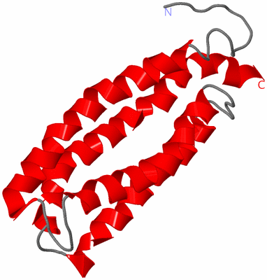 Image NMR Structure - model 1