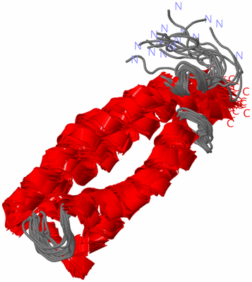 Image NMR Structure - all models