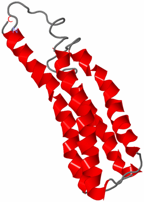 Image NMR Structure - model 1