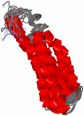 Image NMR Structure - all models