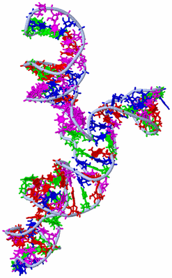 Image NMR Structure - model 1