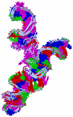 Image NMR Structure - all models