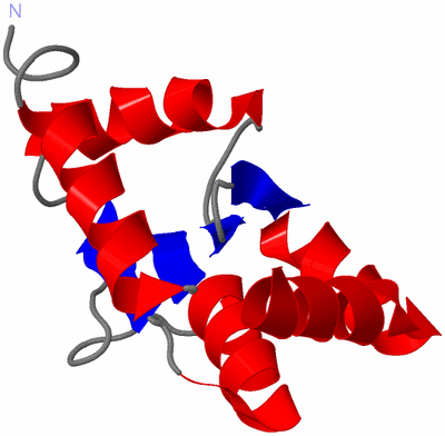 Image NMR Structure - model 1