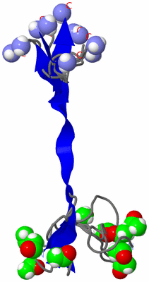 Image NMR Structure - all models