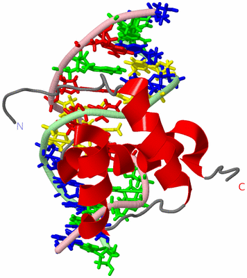 Image NMR Structure - model 1