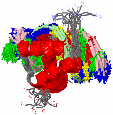 Image NMR Structure - all models
