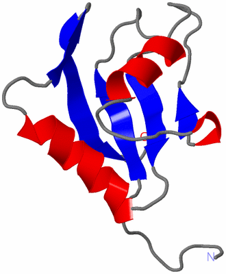 Image NMR Structure - model 1