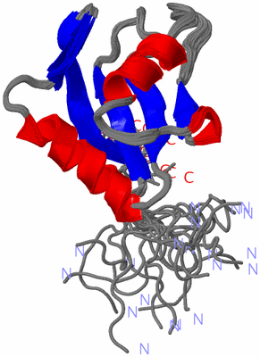 Image NMR Structure - all models