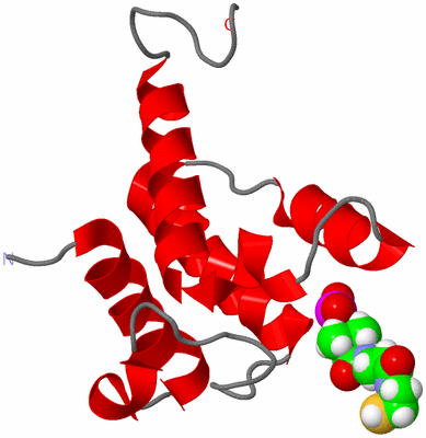 Image NMR Structure - model 1