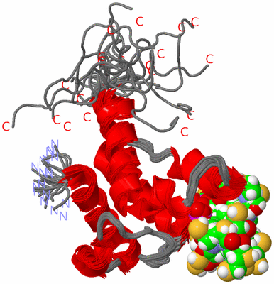 Image NMR Structure - all models