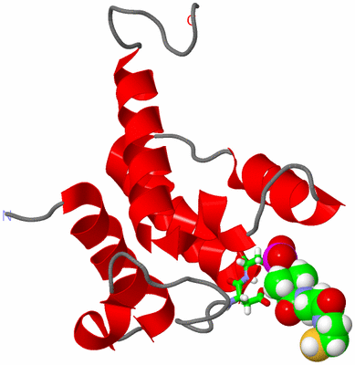 Image NMR Structure - model 1, sites