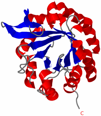 Image NMR Structure - model 1