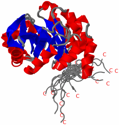 Image NMR Structure - all models