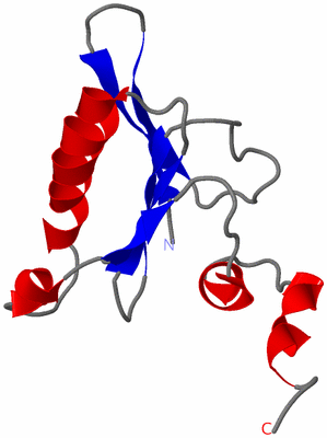 Image NMR Structure - model 1