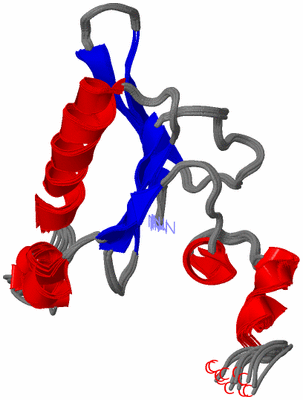 Image NMR Structure - all models