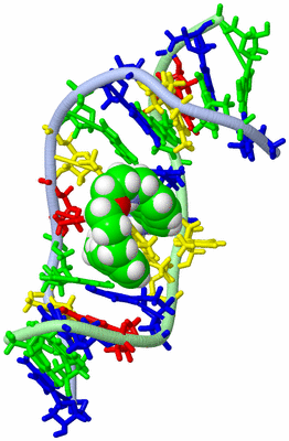 Image NMR Structure - model 1