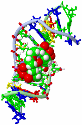 Image NMR Structure - model 1, sites