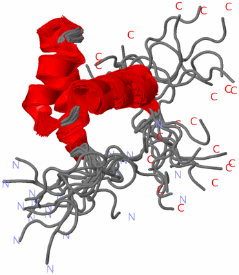 Image NMR Structure - all models