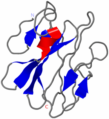 Image NMR Structure - model 1