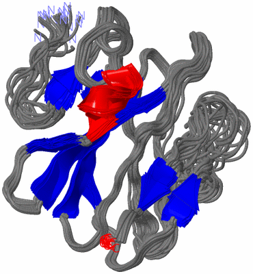 Image NMR Structure - all models