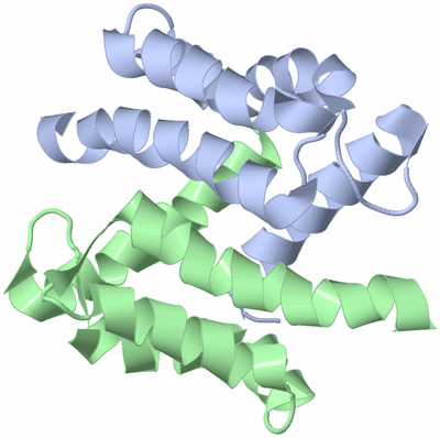 Image NMR Structure - model 1