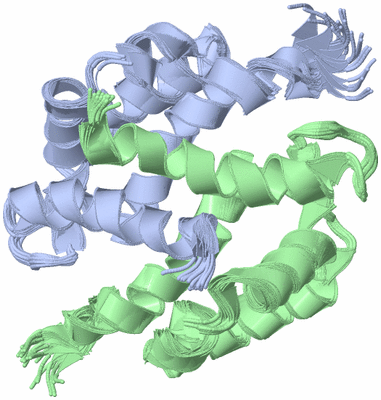 Image NMR Structure - all models