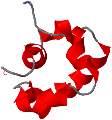 Image NMR Structure - model 1