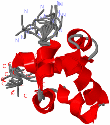 Image NMR Structure - all models