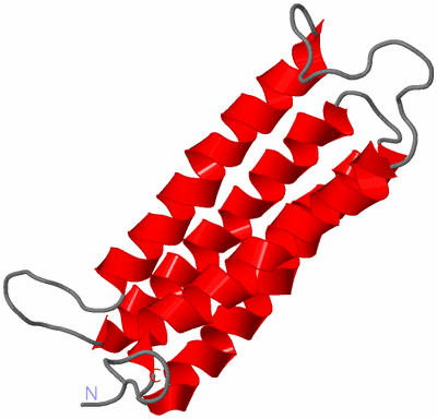 Image NMR Structure - model 1