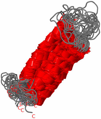 Image NMR Structure - all models