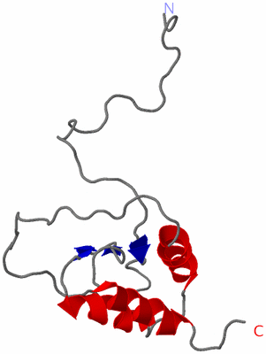 Image NMR Structure - model 1