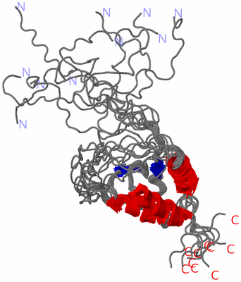 Image NMR Structure - all models