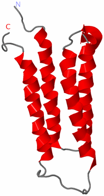 Image NMR Structure - model 1