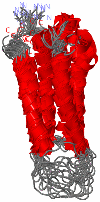 Image NMR Structure - all models