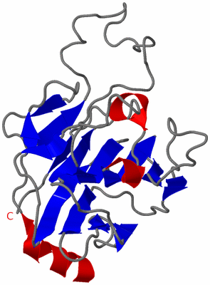 Image NMR Structure - model 1