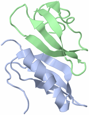 Image NMR Structure - model 1