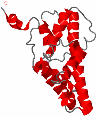 Image NMR Structure - model 1