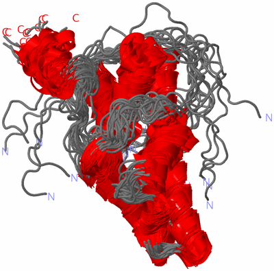 Image NMR Structure - all models