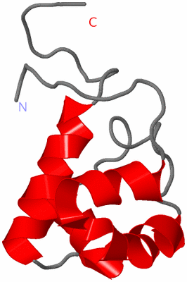 Image NMR Structure - model 1