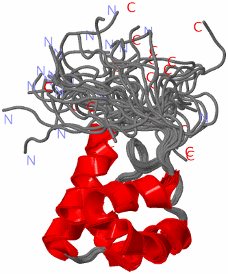 Image NMR Structure - all models