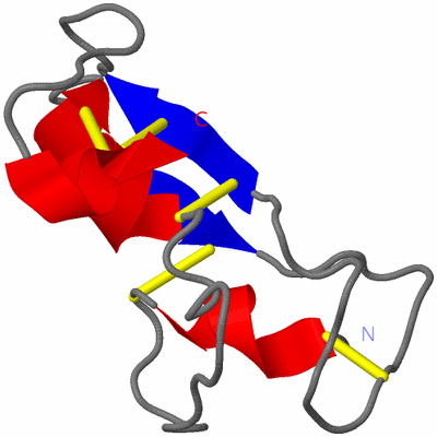 Image NMR Structure - model 1