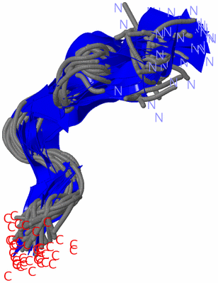 Image NMR Structure - all models