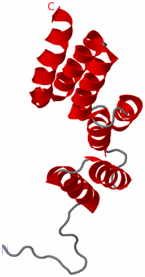 Image NMR Structure - model 1